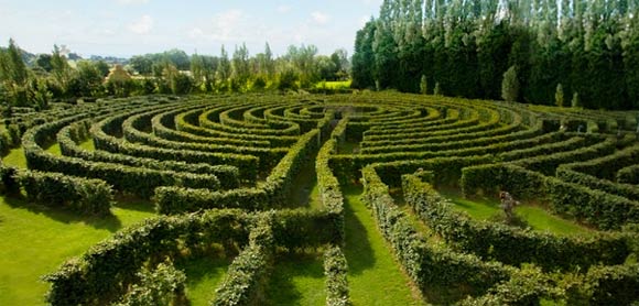 Chapitre XII : Partager la sagesse de la transformation